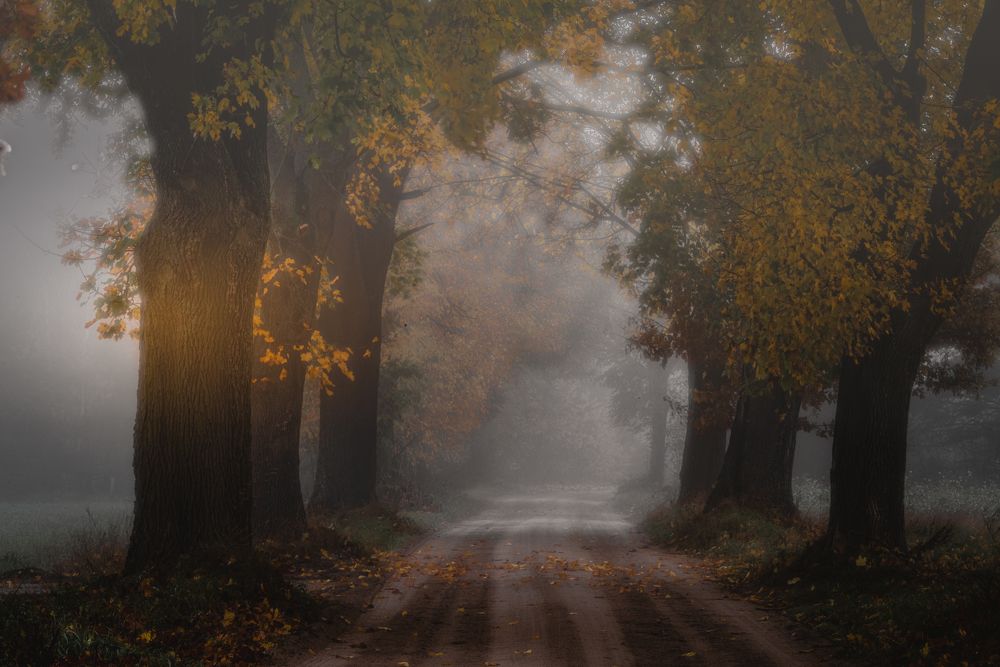 Photograph by Dariusz Budyta