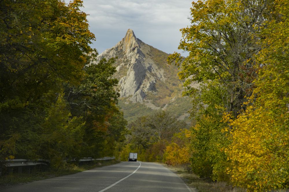 Фотография автора Ксения Зайцева