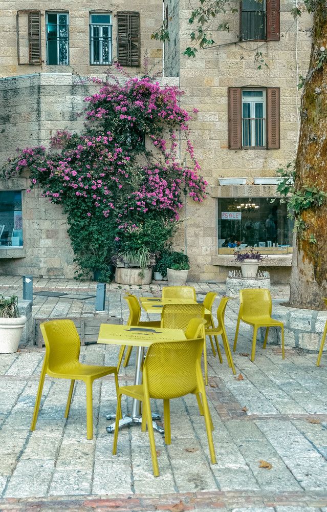 Фотография автора Ольга Забрянская