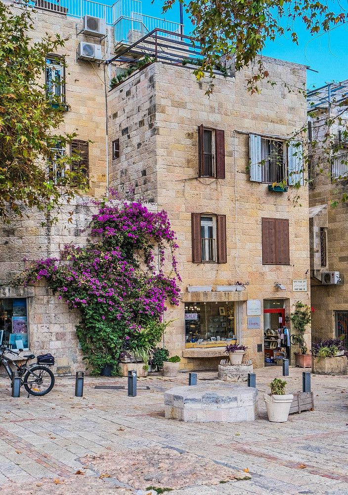 Фотография автора Ольга Забрянская