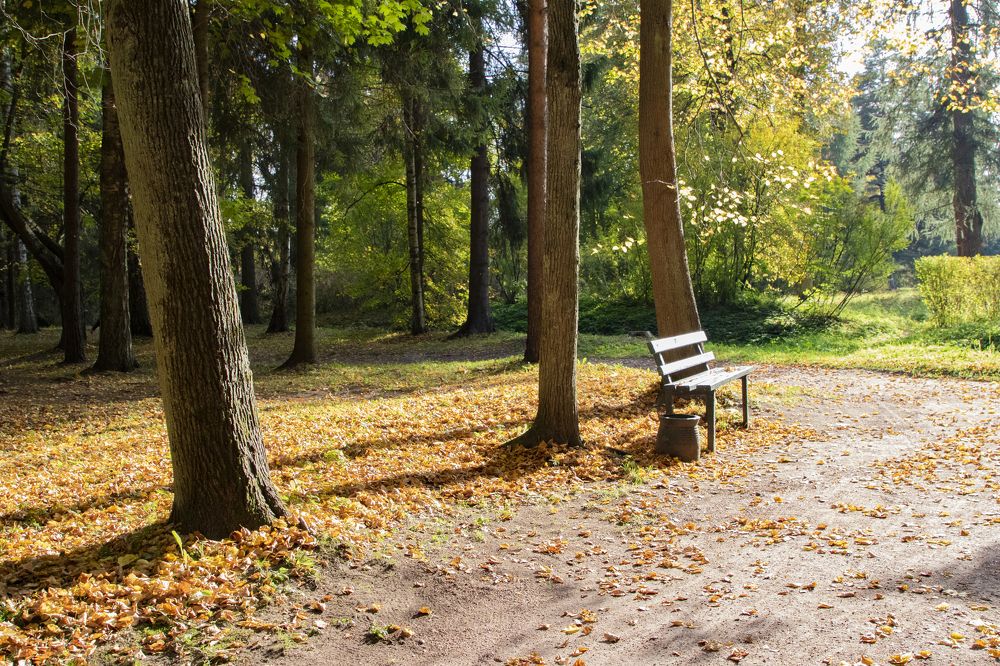 Фотография автора Ксения Зайцева