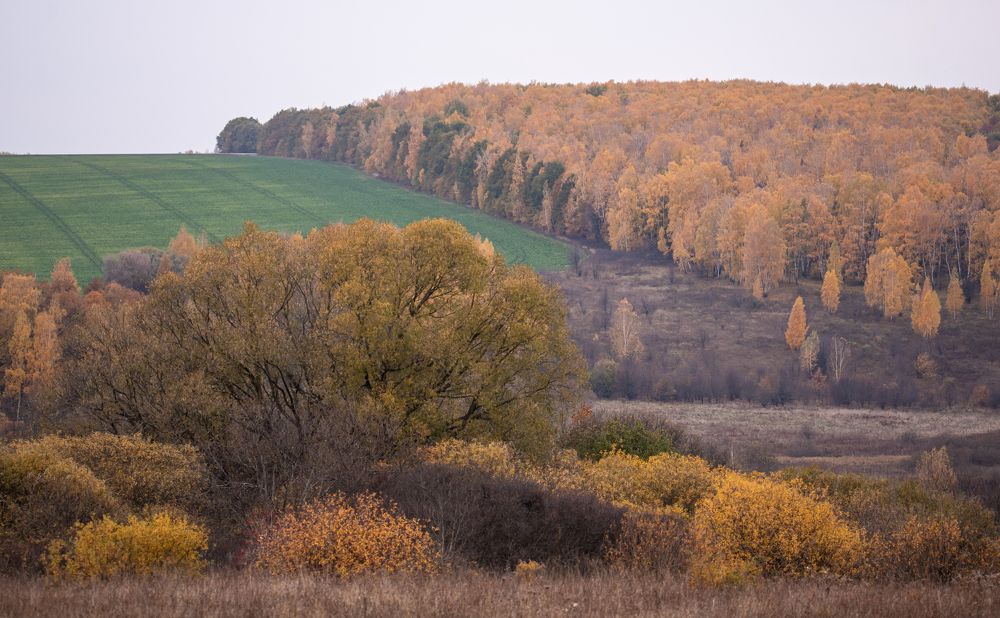 Photograph by наталья залогина