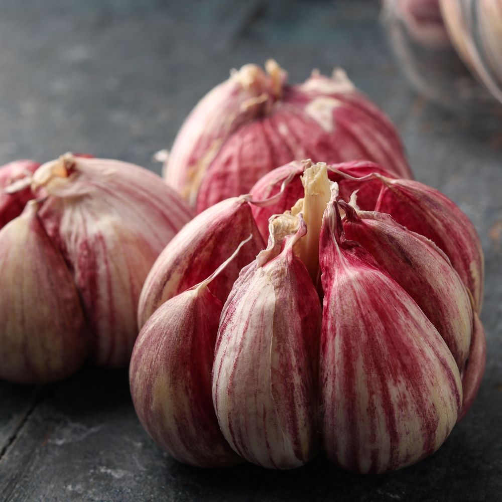 Photograph by Mahnaz Jafari