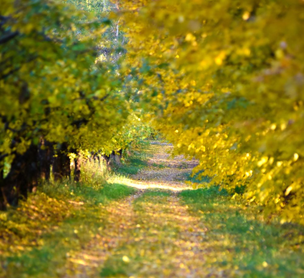 Photograph by наталья залогина