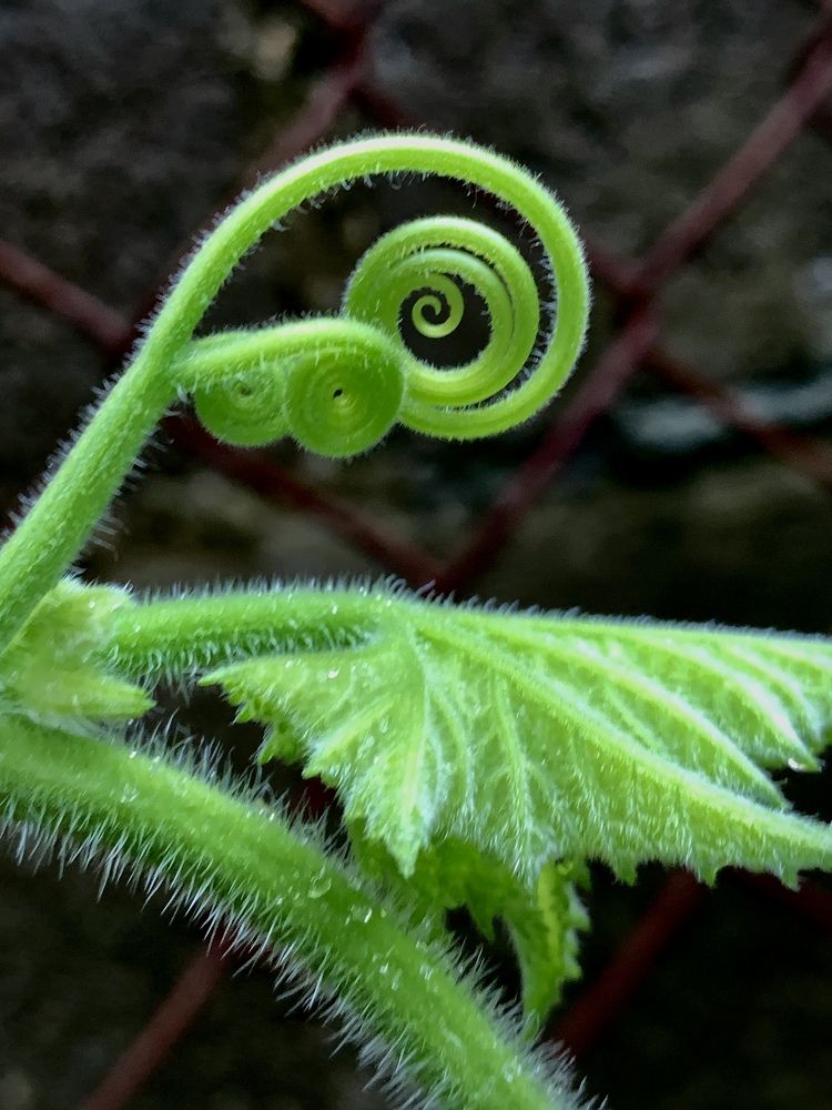 Photograph by Maria D. Torres