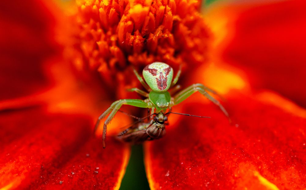 Photograph by Михаил Редин