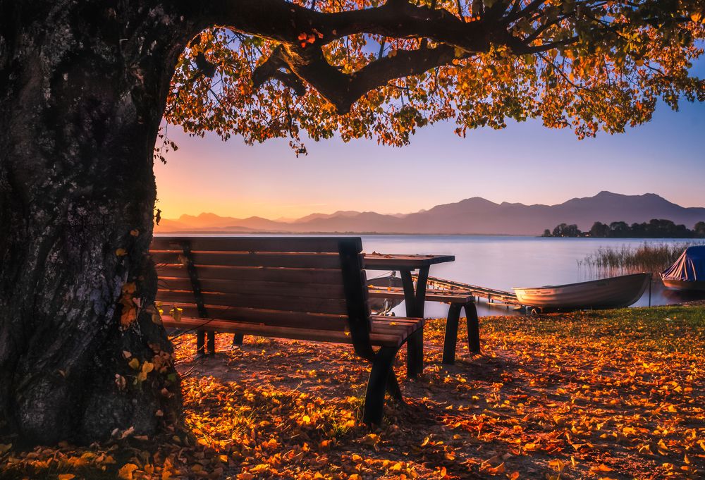 Photograph by Dani Wieczorek