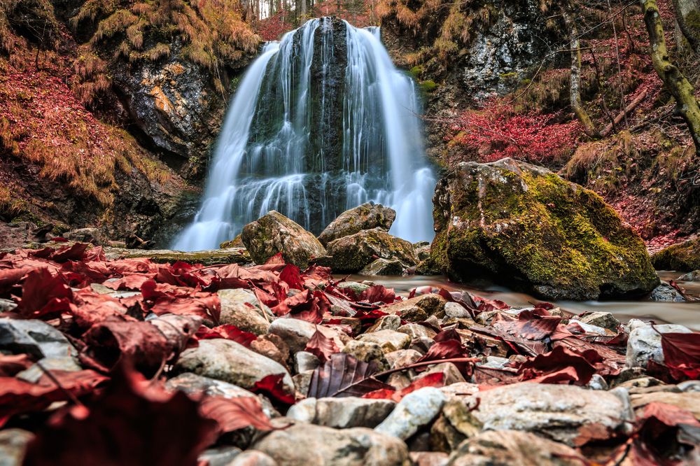 Photograph by Dani Wieczorek