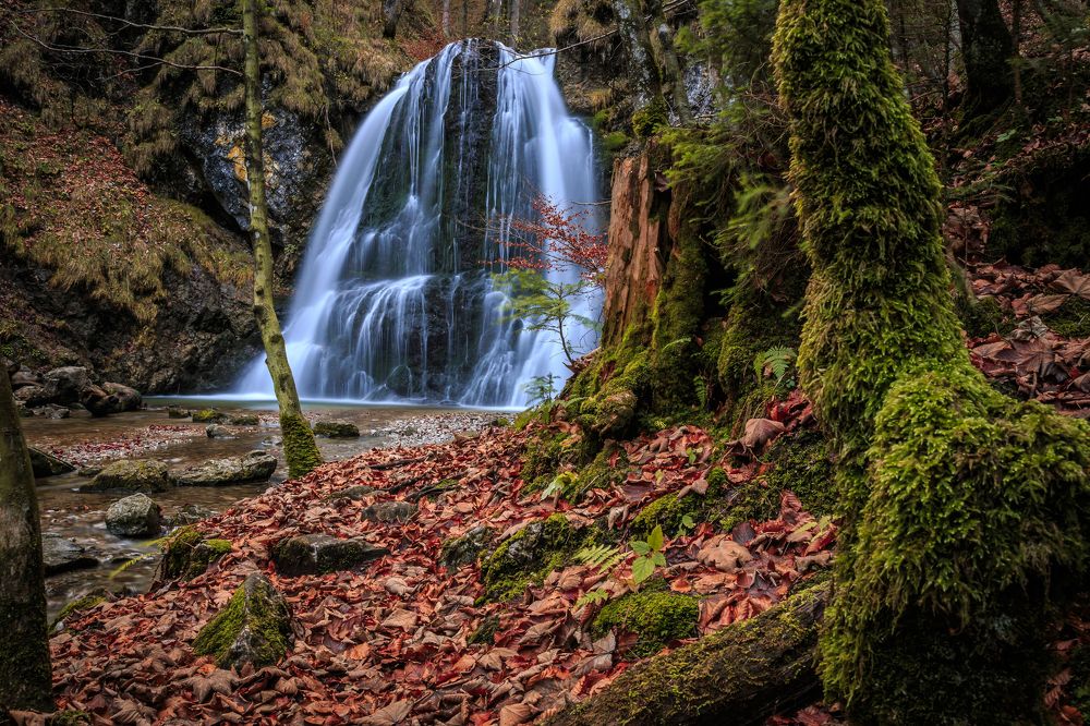 Photograph by Dani Wieczorek