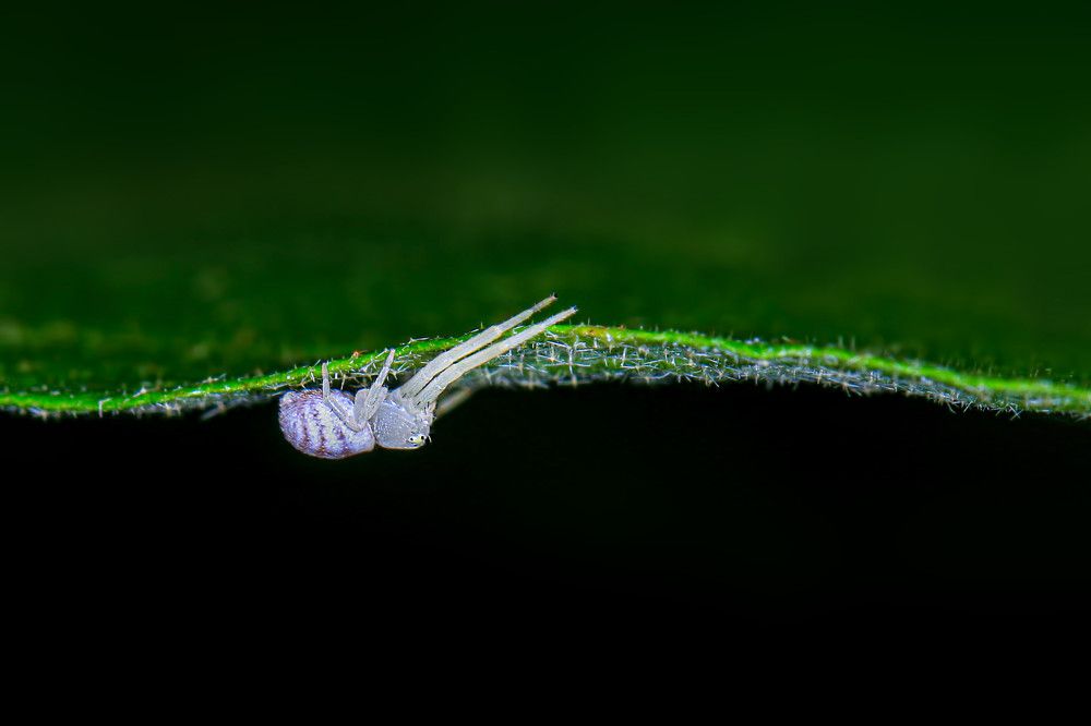 Фотография автора Suresh S S