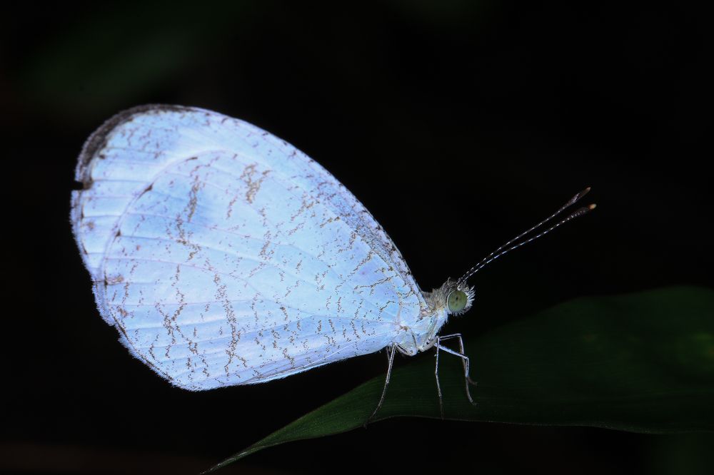 Фотография автора Suresh S S