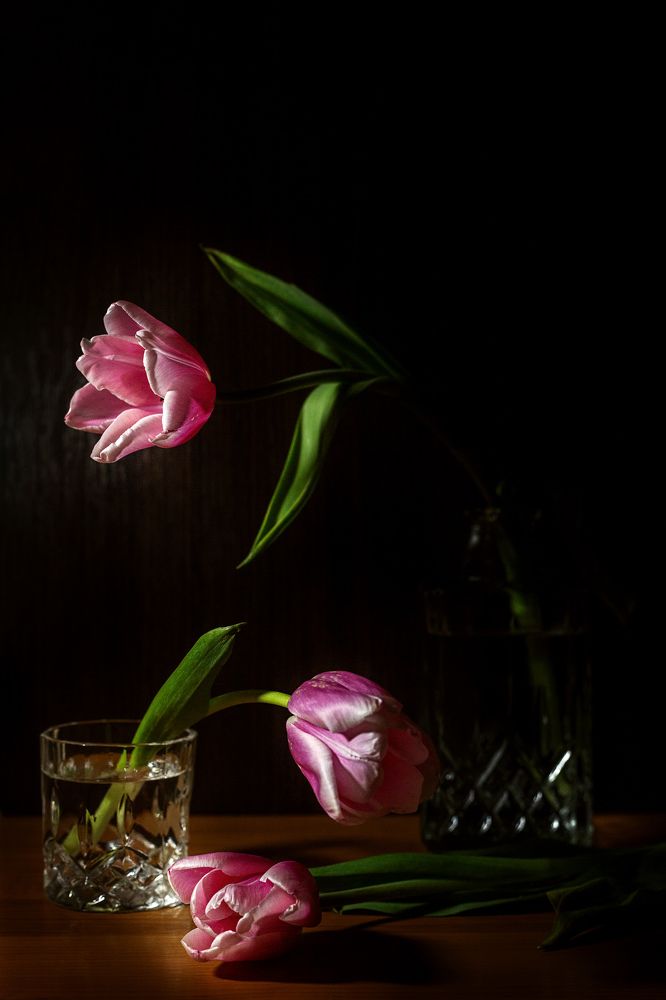 Photograph by Яна Резник