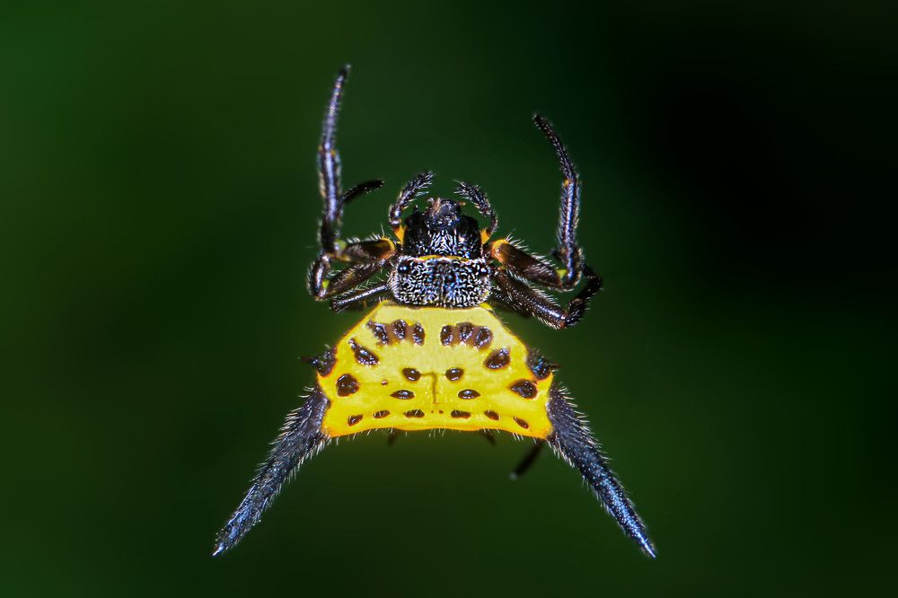 Фотография автора Suresh S S