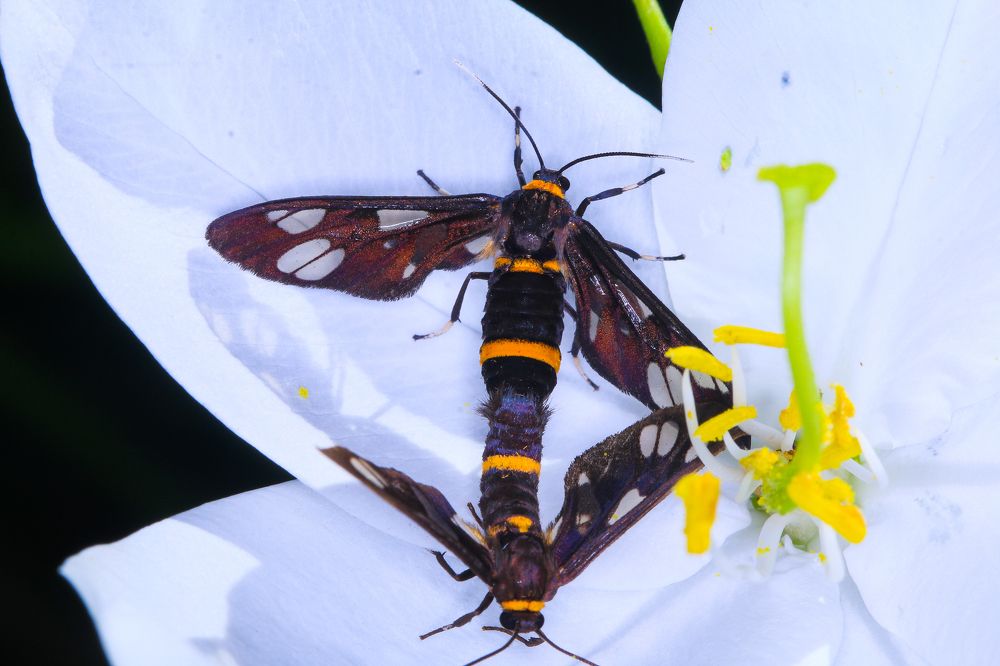 Фотография автора Suresh S S