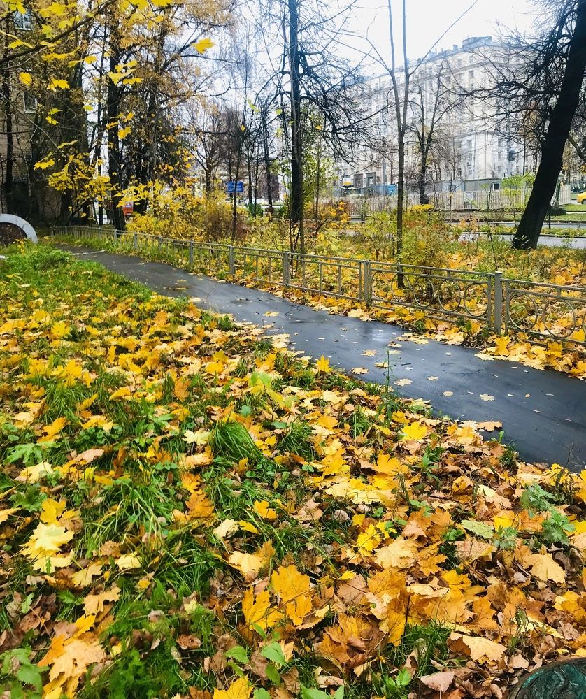 Photograph by Соня