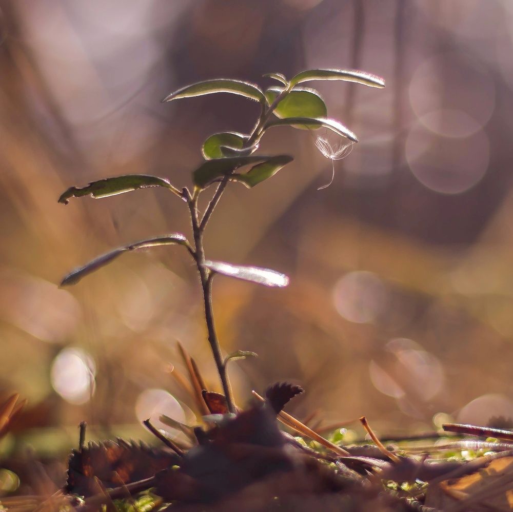 Photograph by Екатерина Мартынова