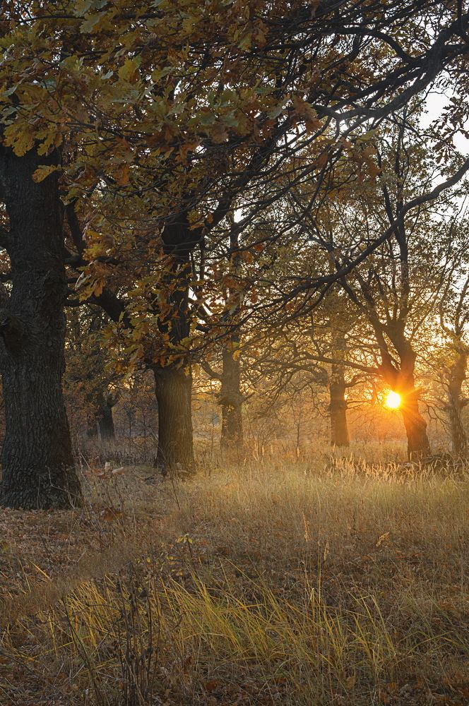 Photograph by Константин Тимченко
