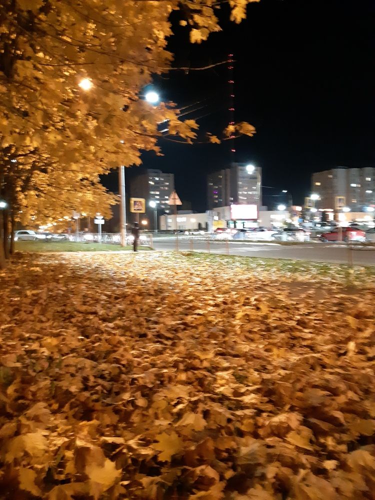 Photograph by Галина Турышева