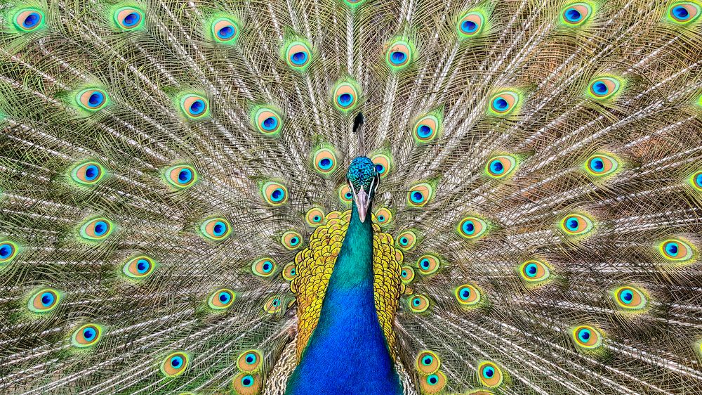 Photograph by Дмитрий Николаев