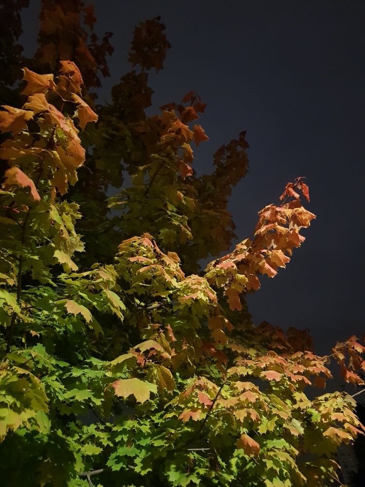 Photograph by Ольга Пумочка-13