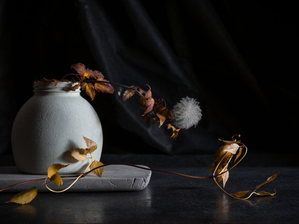 Photograph by Зульфия Курманова