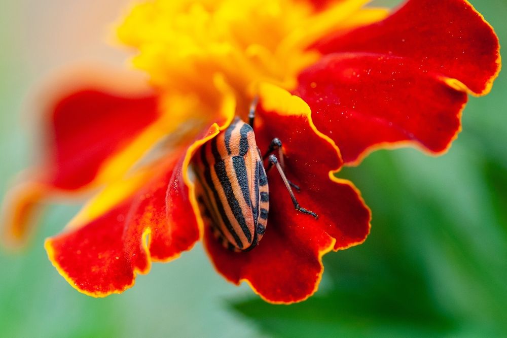 Photograph by Михаил Редин