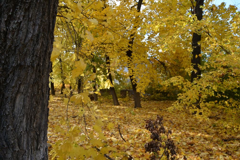 Photograph by Helena Lugowska