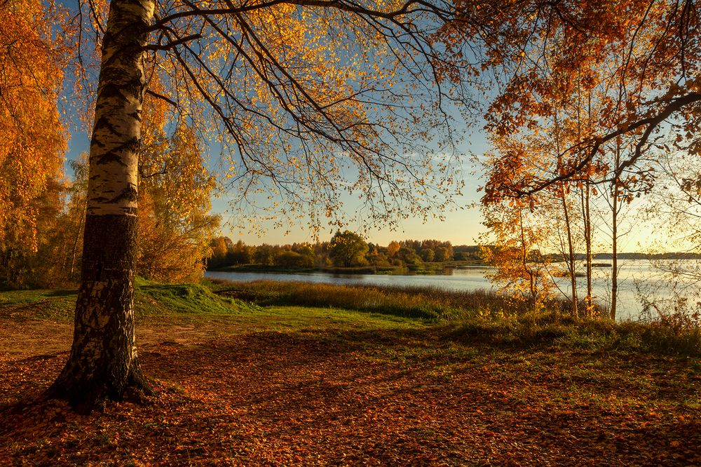 Photograph by Елена Потемина