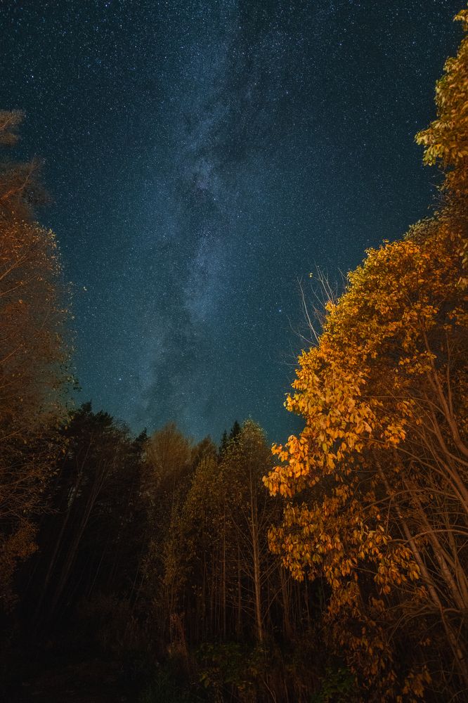 Photograph by Денис Кошкин