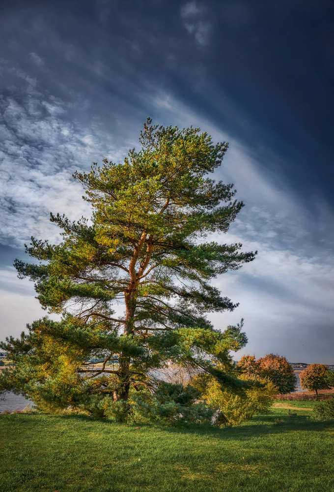 Photograph by Jevgenij Bujanov