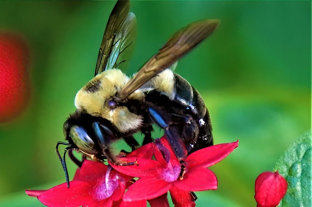 Photograph by Carol Taylor