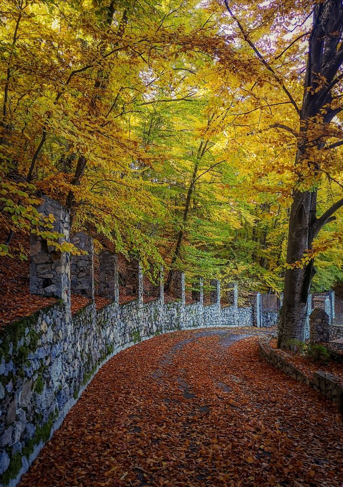 Photograph by Delyana Georgieva