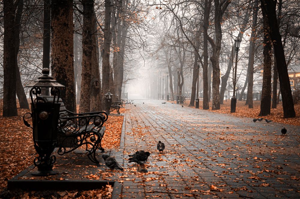 Photograph by Вячеслав Смеликов