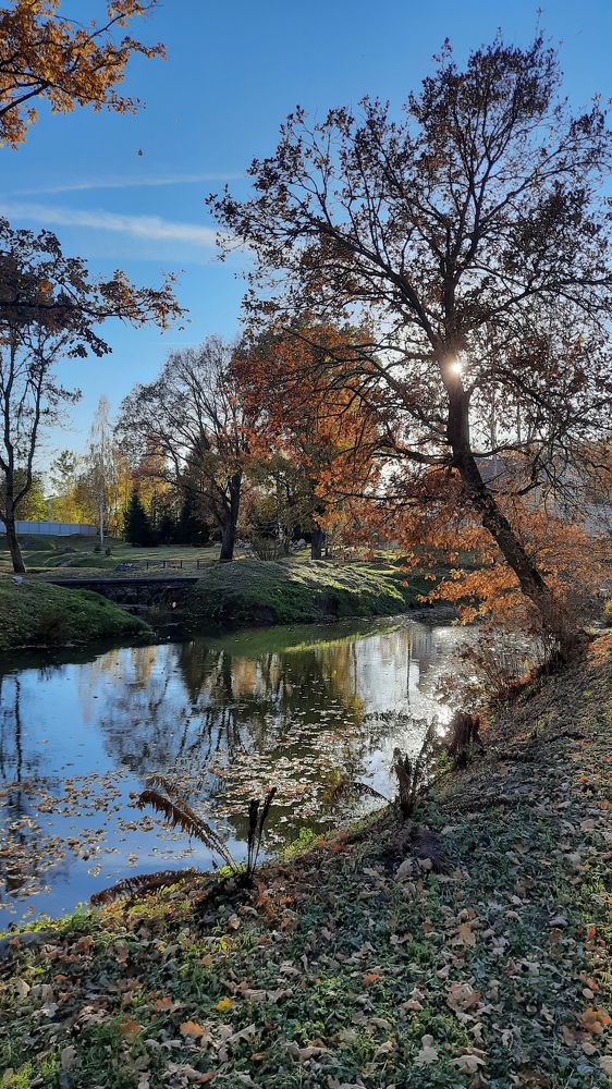 Photograph by Ольга Новоселова