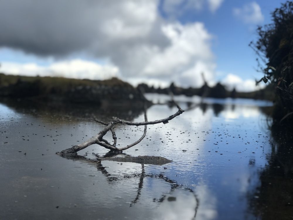 Photograph by Ankur khare