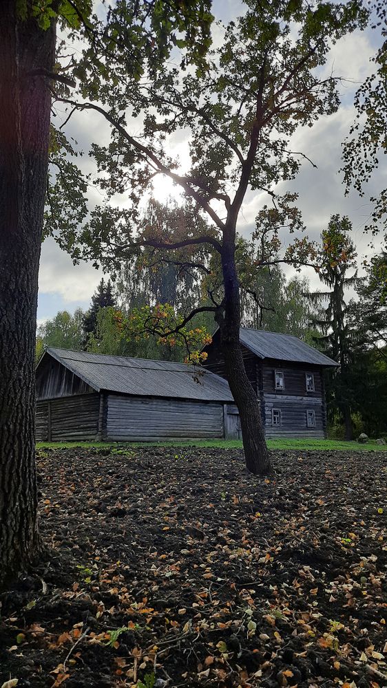 Photograph by Ольга Новоселова