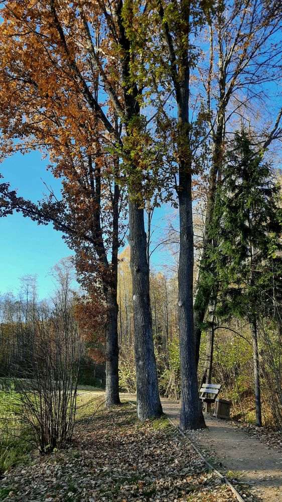 Photograph by Ольга Новоселова