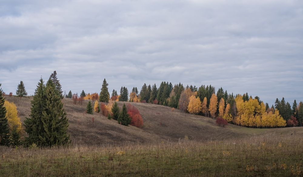Фотография автора Виктор Руденко