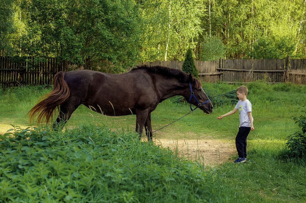 Photograph by Светлана Велиева