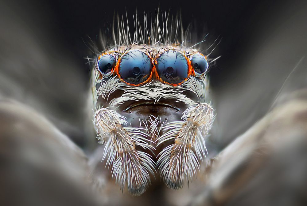 Photograph by Eduardo Modolo