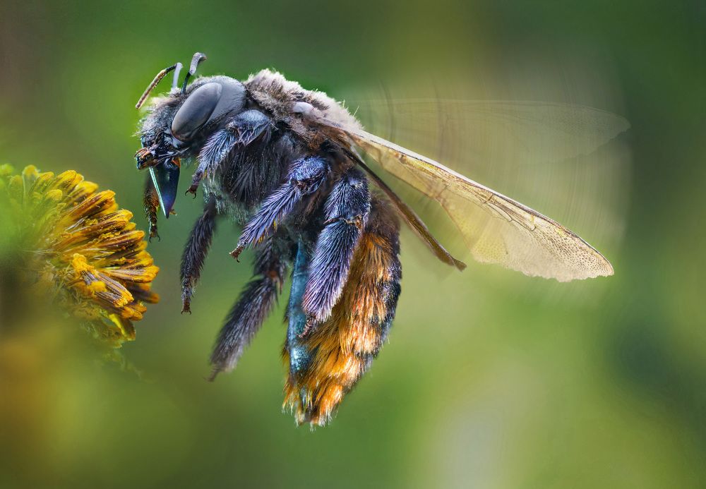 Photograph by Eduardo Modolo