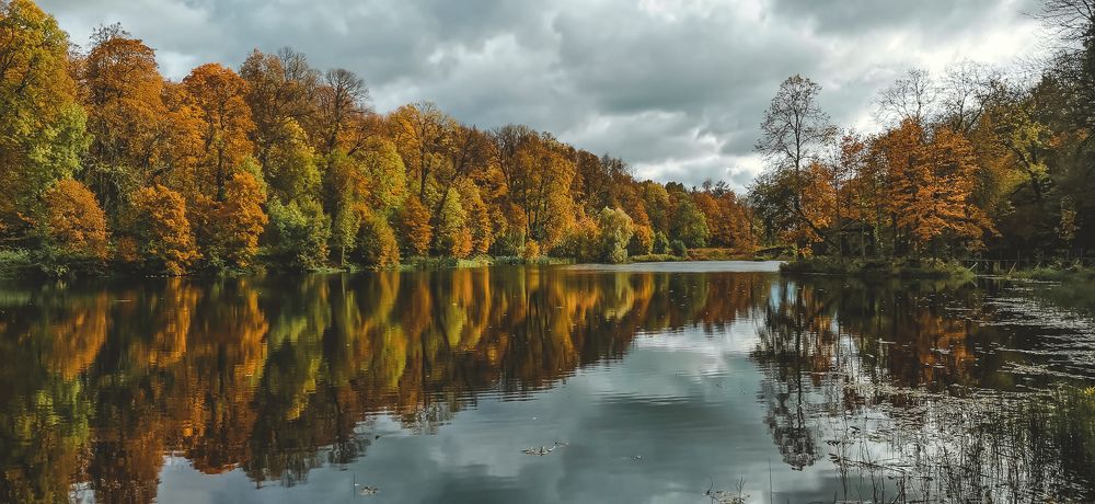 Photograph by Елена Акимова