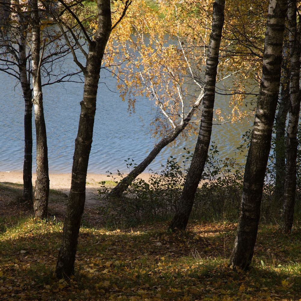 Photograph by Борис Баринов