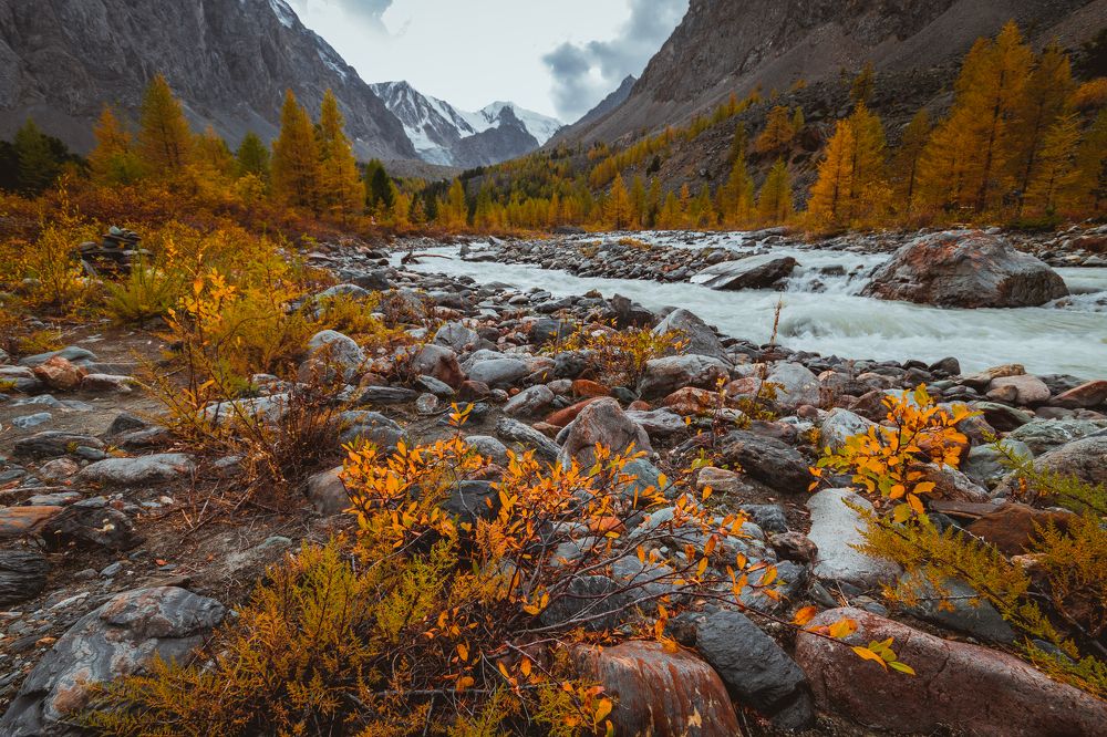 Photograph by Максим Савватеев