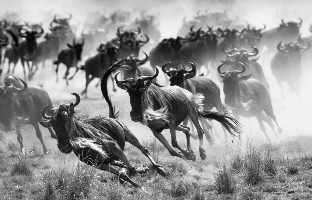 Photograph by Vignesh Ramachandran