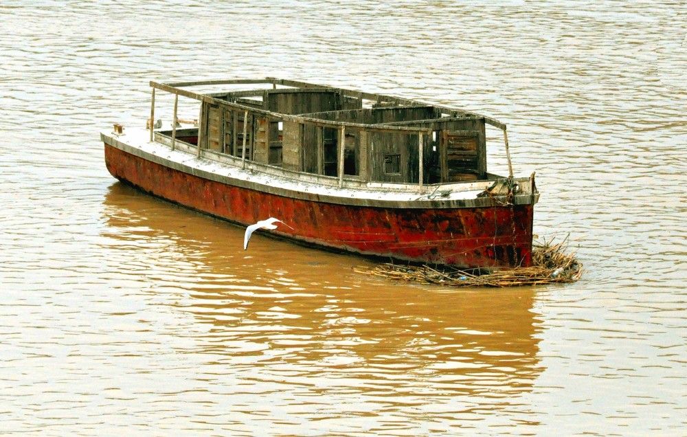 Photograph by غيث الساعدي