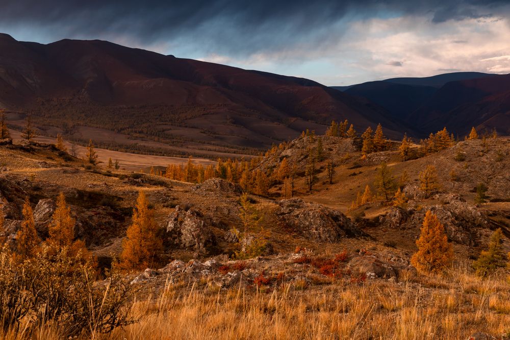 Photograph by Евгения Чех