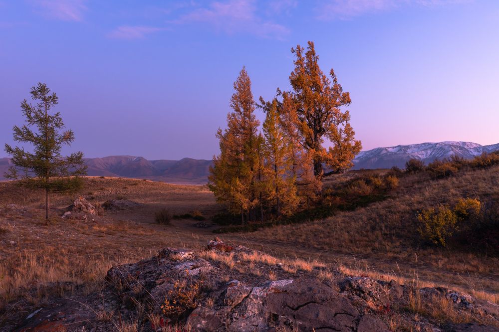 Photograph by Евгения Чех