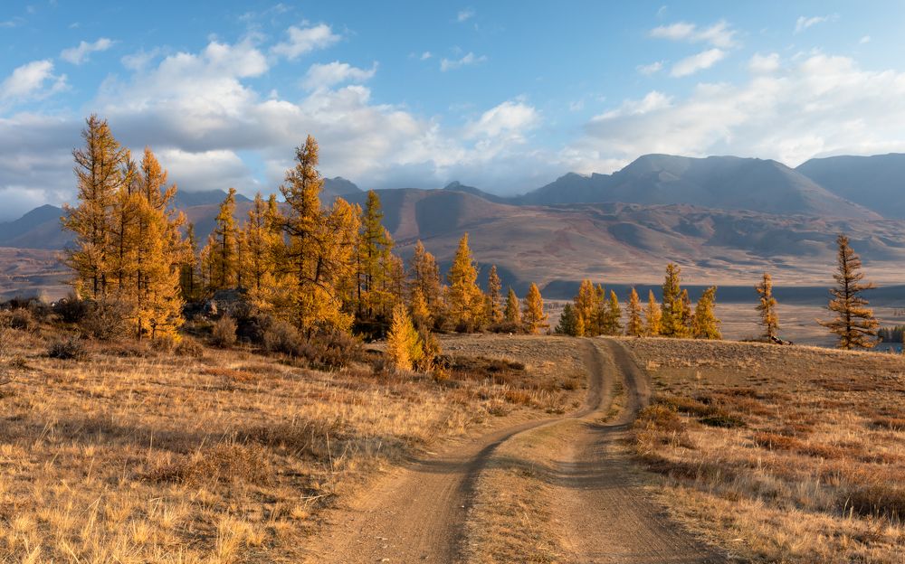 Photograph by Евгения Чех