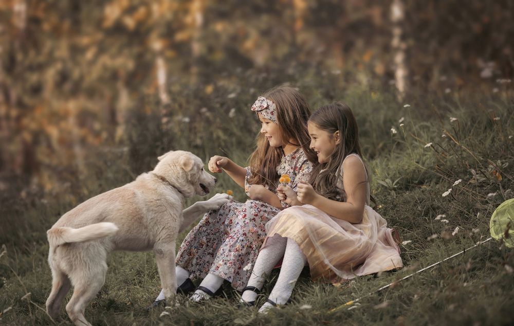 Photograph by Руслан Джамалов